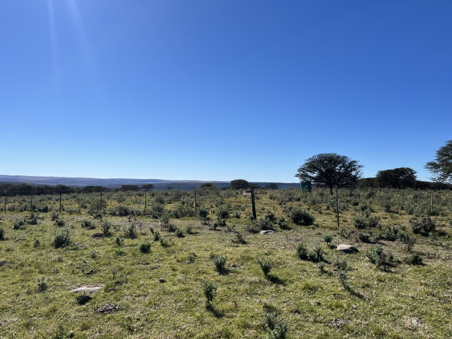 0 Bedroom Property for Sale in Stutterheim Rural Eastern Cape